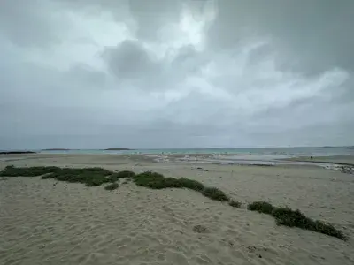 Lampaul-Ploudalmézeau, les trois moutons - photo 1