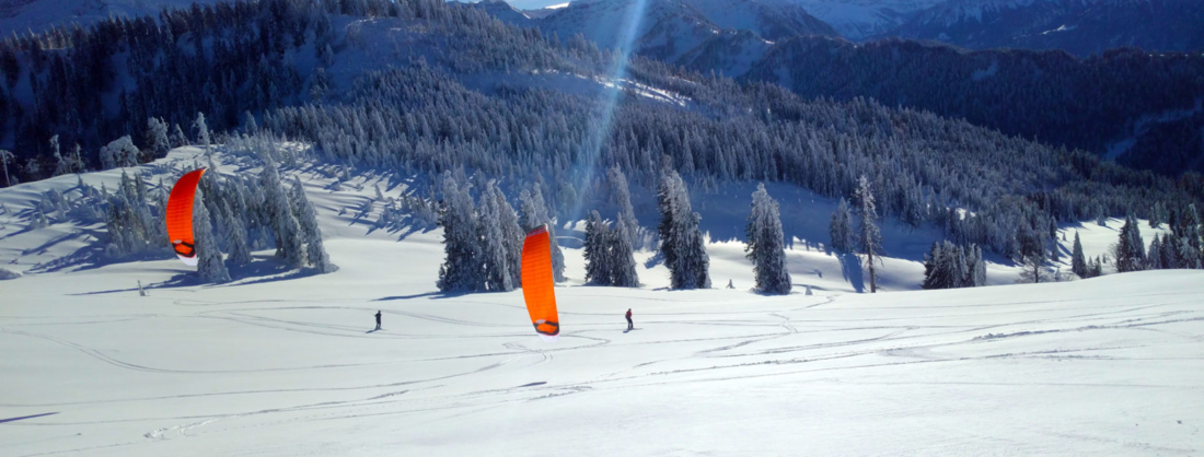 Quelle année mes ayeux !