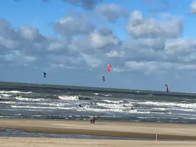 de haan | le coq - photo 4