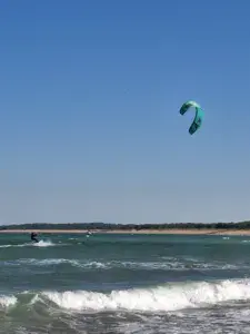 Ile d Oleron | Le Douhet - photo 3