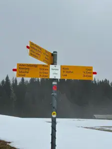 Ruwlispass - photo 6