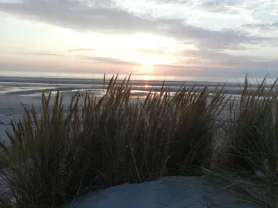 le touquet - photo 1