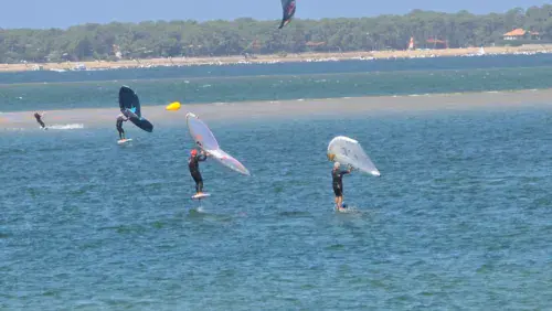 Bassin d Arcachon | Arbousiers - photo 5