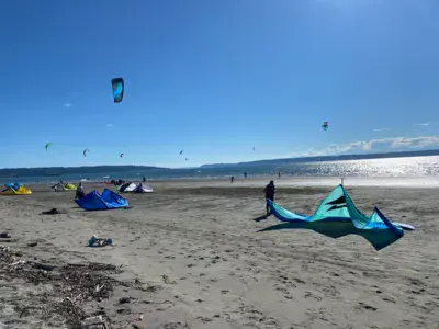 Jetty Island - photo 5