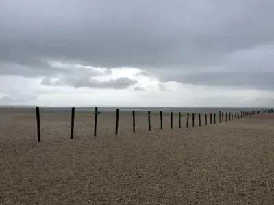 Slufter, Maasvlakte - photo 7