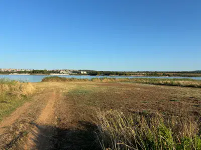 Liznjan Locals only - photo 3