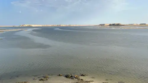 Dakhla | Lagune - photo 7