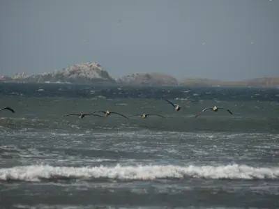 Punta Luna - photo 4