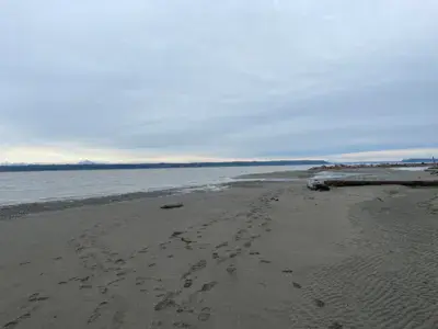 Iverson Trail / Camano Island - photo 3