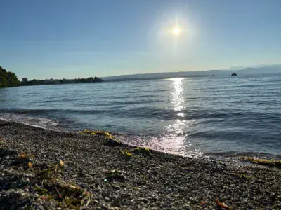 Tolochenaz - Stand de tir - photo 2