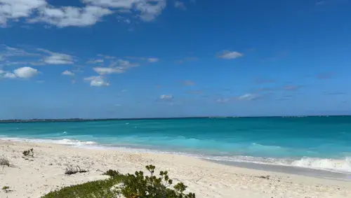 Leeward Beach - photo 3