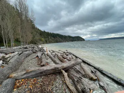 Kayak Point - photo 2