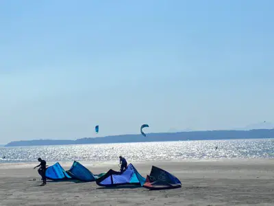 Jetty Island - photo 3