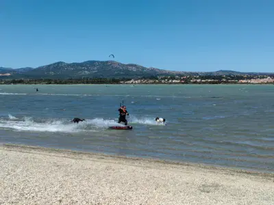 Etang de La Palme - photo 6