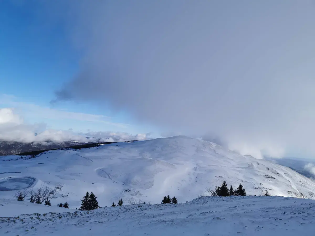 Spot de Crozet Lelex