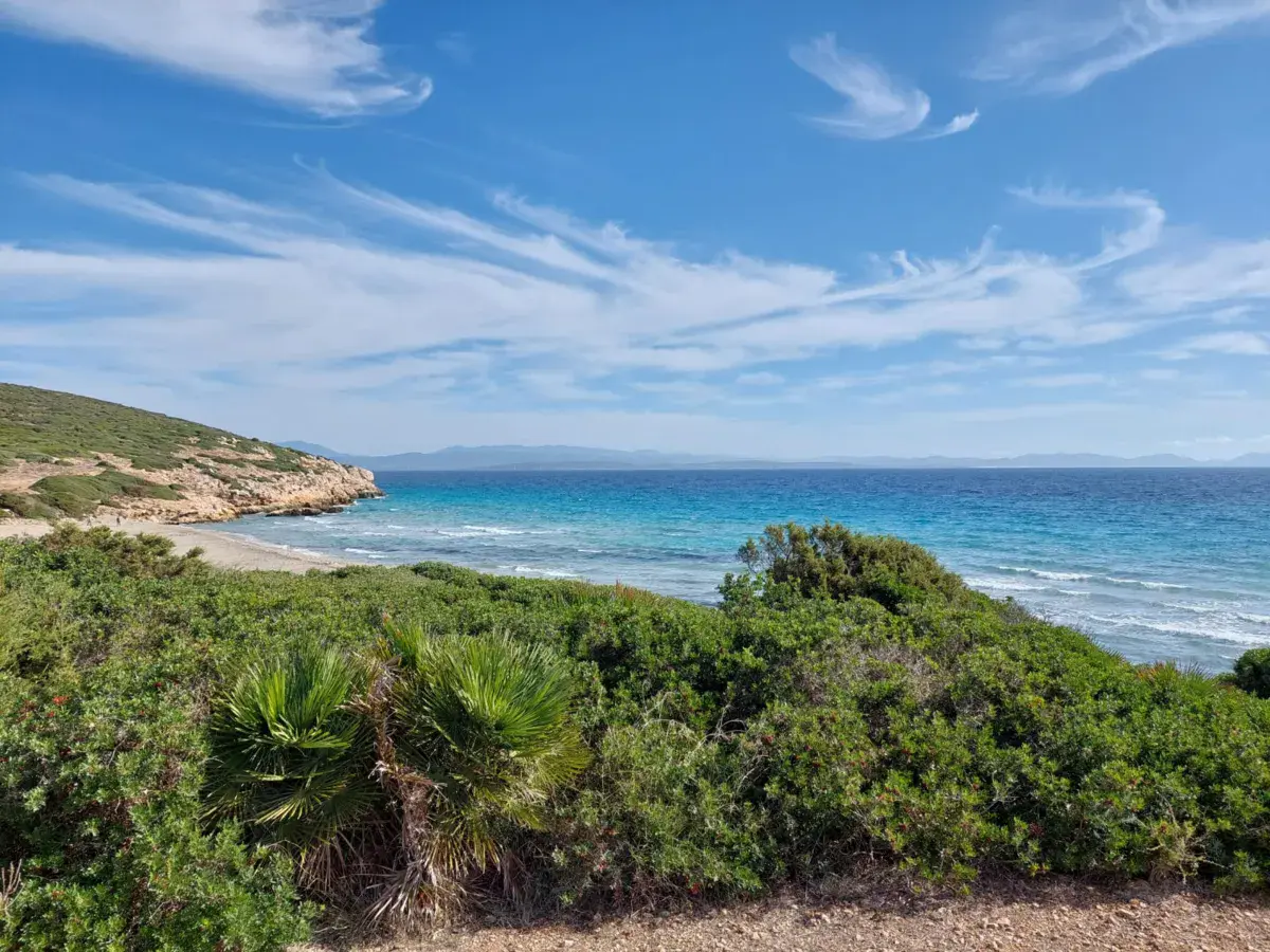 Spot de sardinia | coequaddus